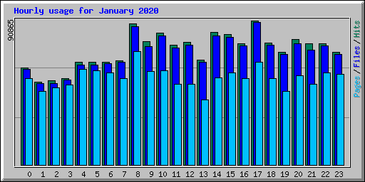 Hourly usage for January 2020